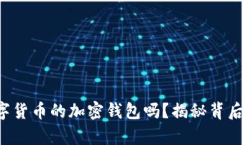 你真的了解数字货币的加密钱包吗？揭秘背后的秘密与风险！