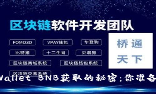 揭秘TPWallet BNB获取的秘密：你准备好了吗？