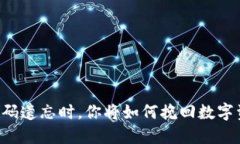 当TP钱包密码遗忘时，你将如何挽回数字资产的安