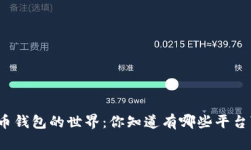 探索虚拟币钱包的世界：你知道有哪些平台可以用吗？