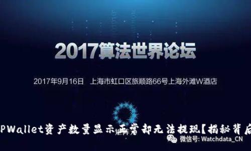 为何TPWallet资产数量显示正常却无法提现？揭秘背后原因！