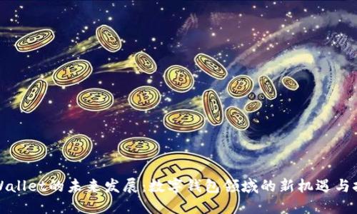 TPWallet的未来发展：数字钱包领域的新机遇与挑战