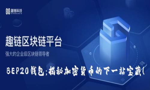 BEP20钱包：揭秘加密货币的下一站宝藏！