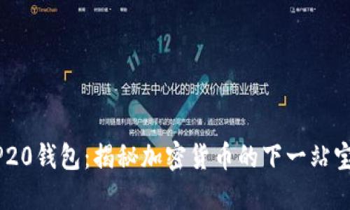 BEP20钱包：揭秘加密货币的下一站宝藏！