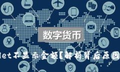 为何tpwallet不显示金额？解析背后原因与解决方案