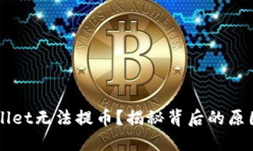 为什么TPWallet无法提币？揭秘背后的原因与解决方案
