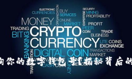 如何轻松查询你的数字钱包号？揭秘背后的技巧与陷阱！