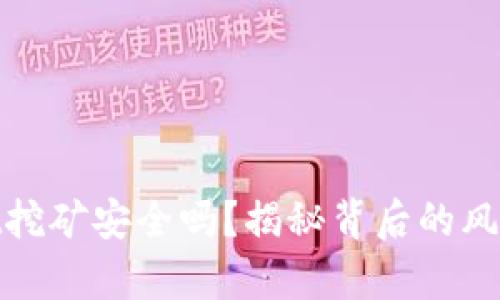 tpwallet挖矿安全吗？揭秘背后的风险与收益