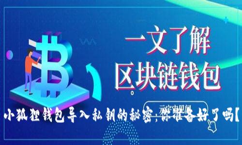 小狐狸钱包导入私钥的秘密：你准备好了吗？