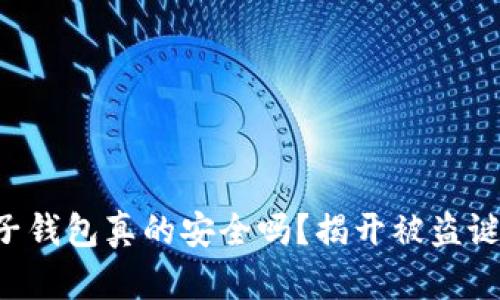 区块链电子钱包真的安全吗？揭开被盗谜团的真相！