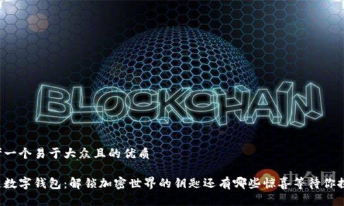 思考一个易于大众且的优质

多链数字钱包：解锁加密世界的钥匙还有哪些惊喜等待你探索？