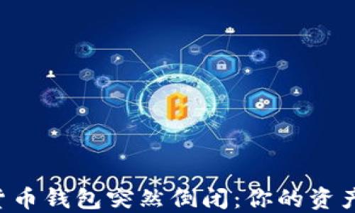 
当数字货币钱包突然倒闭：你的资产会如何？