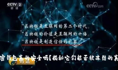 加密钱包真的安全吗？揭秘它们能否被冻结的真相