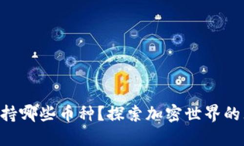 TPWallet支持哪些币种？探索加密世界的无限可能性！