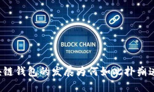 区块链钱包的发展为何如此扑朔迷离？