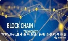 TPWallet在中国的未来：机遇与挑战的博弈