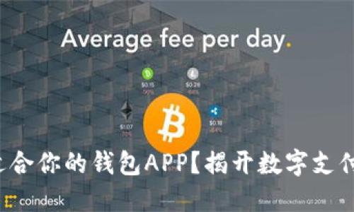 如何选择最适合你的钱包APP？揭开数字支付的神秘面纱！
