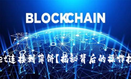 如何将TPWallet连接到薄饼？揭秘背后的操作技巧与注意事项