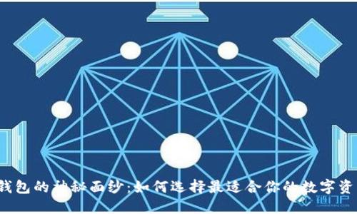 揭开虚拟币钱包的神秘面纱：如何选择最适合你的数字资产管理工具？