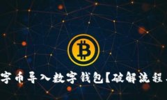 如何轻松将数字币导入数字钱包？破解流程与技