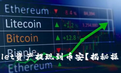 如何轻松将TPWallet资产提现到币安？揭秘操作技巧与注意事项