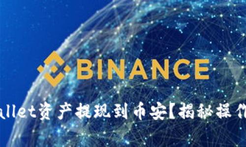如何轻松将TPWallet资产提现到币安？揭秘操作技巧与注意事项