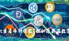 如何通过TPWallet查看币种收益？探秘隐藏在数字汇