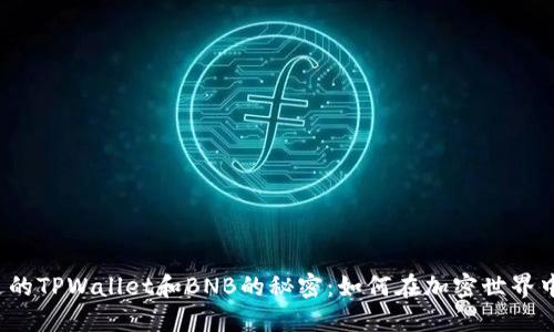 你不能错过的TPWallet和BNB的秘密：如何在加密世界中投资成功？