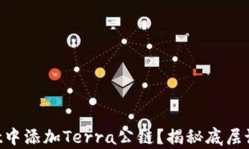 
如何在TPWallet中添加Terra公链？揭秘底层设置的潜在惊喜！