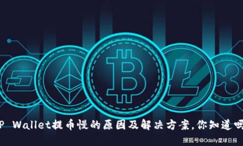 TP Wallet提币慢的原因及解决方案，你知道吗？