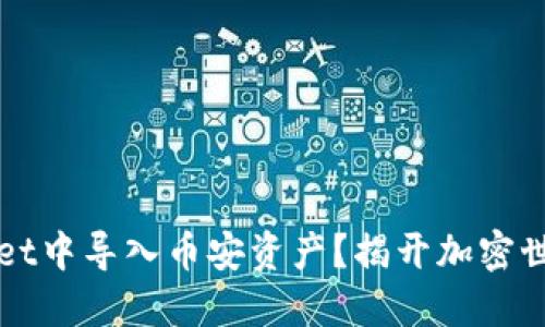 如何在TPWallet中导入币安资产？揭开加密世界的神秘面纱
