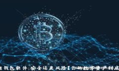 揭秘区块链钱包软件：安全还是风险？你的数字