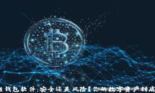 
揭秘区块链钱包软件：安全还是风险？你的数字资产到底放在哪里？