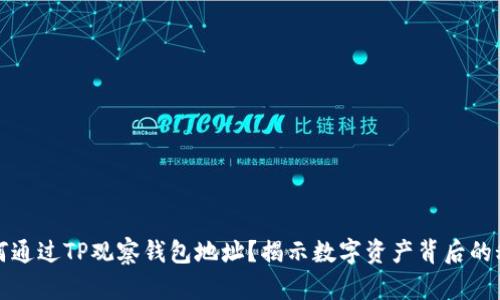 如何通过TP观察钱包地址？揭示数字资产背后的秘密