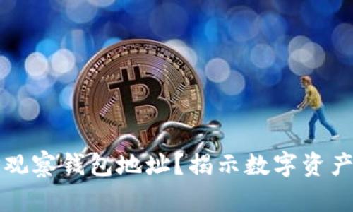 如何通过TP观察钱包地址？揭示数字资产背后的秘密