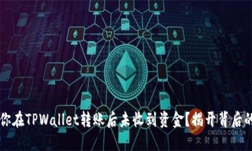 为何你在TPWallet转账后未收到资金？揭开背后的秘密