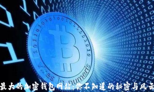 
全球最大的加密钱包网站：你不知道的秘密与风云变换