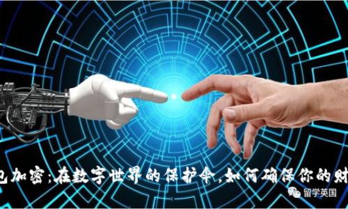电子钱包加密：在数字世界的保护伞，如何确保你的财富安全？