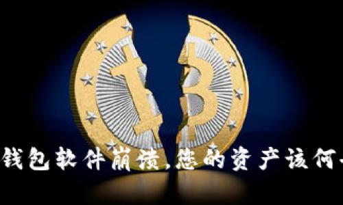 当虚拟钱包软件崩溃，您的资产该何去何从？