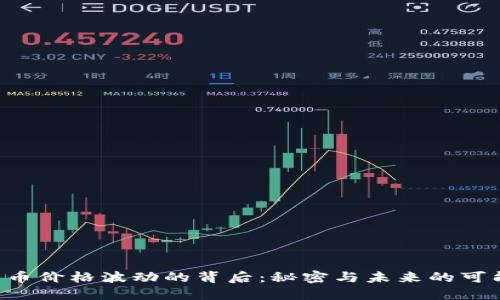柴犬币价格波动的背后：秘密与未来的可能性！