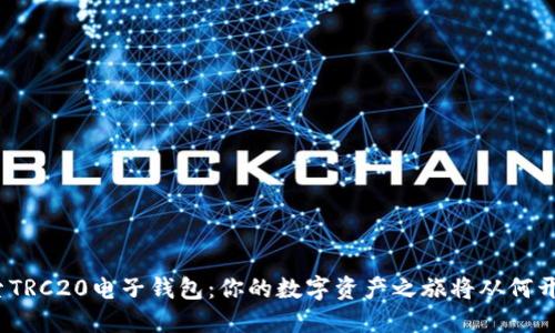 探索TRC20电子钱包：你的数字资产之旅将从何开始？