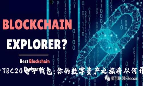 探索TRC20电子钱包：你的数字资产之旅将从何开始？