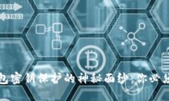 揭开加密货币钱包密钥保护的神秘面纱：你必须