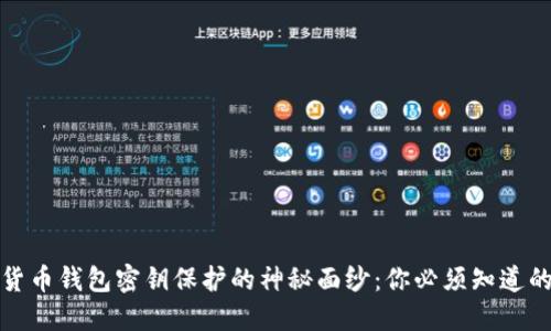 揭开加密货币钱包密钥保护的神秘面纱：你必须知道的安全技巧