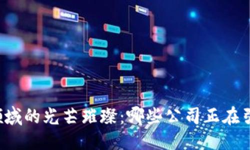 思考

区块链领域的光芒璀璨：哪些公司正在引领未来？