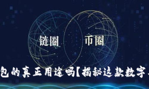 :
你知道虚拟币钱包的真正用途吗？揭秘这款数字工具的神秘面纱！
