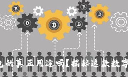 :
你知道虚拟币钱包的真正用途吗？揭秘这款数字工具的神秘面纱！
