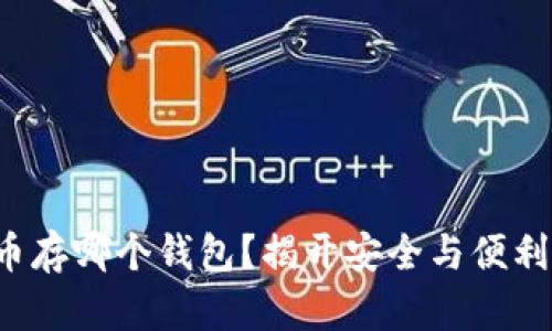 数字货币存哪个钱包？揭开安全与便利的真相！