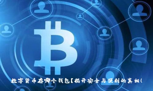 数字货币存哪个钱包？揭开安全与便利的真相！