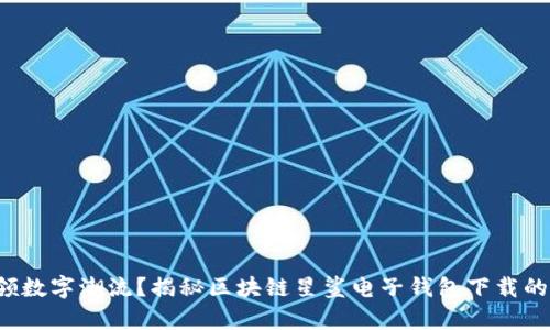 如何迅速引领数字潮流？揭秘区块链星鲨电子钱包下载的前景与潜力！